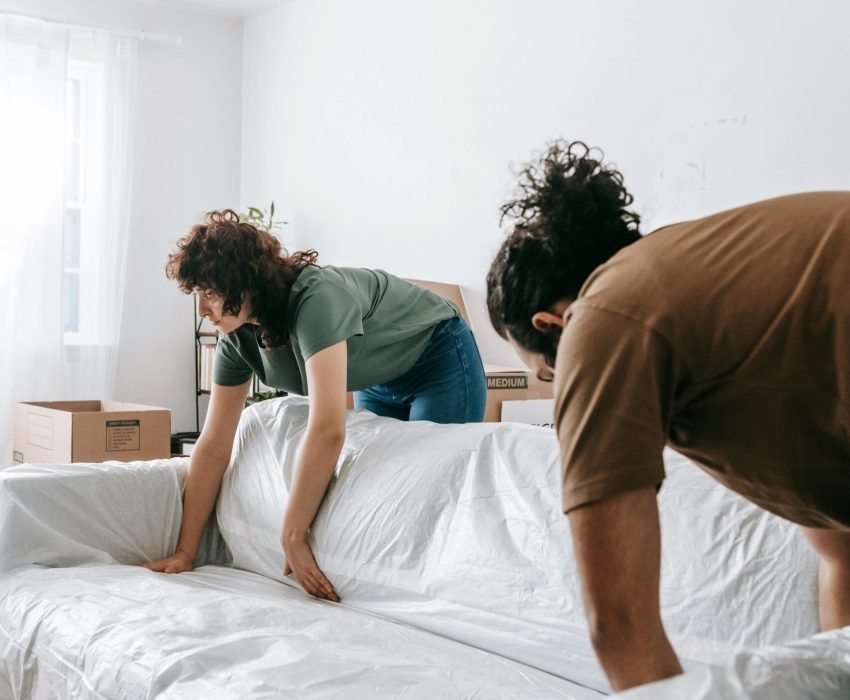 pexels-blue-bird-7218483